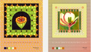 2-images-Surtex