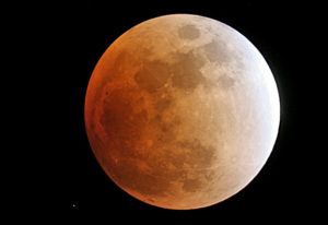 Lunar Eclipse 02-2008 ©John Cara