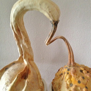 Pair of Goards