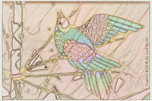 Captive Bird © by Lisa Rivas