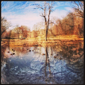 Shelby Bottoms Park, Nashville TN - photo by Lisa Rivas © 2013