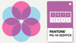 a fusion = Radiant Orchid